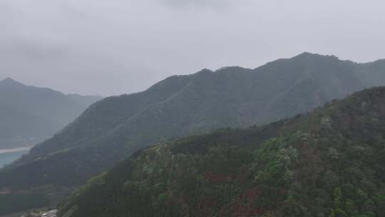 天峨龙滩红水河