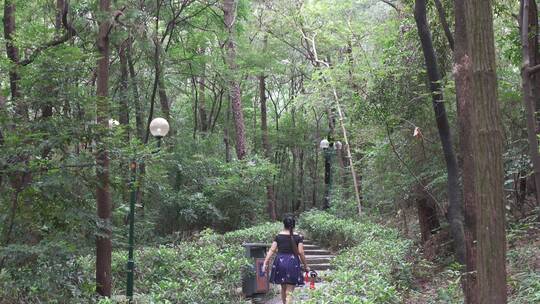 公园系列-广州花果山公园15视频素材模板下载