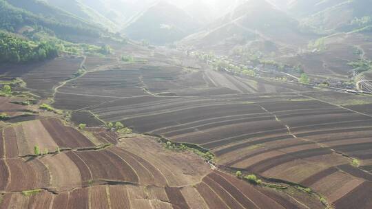 东北山区黑土地耕地航拍