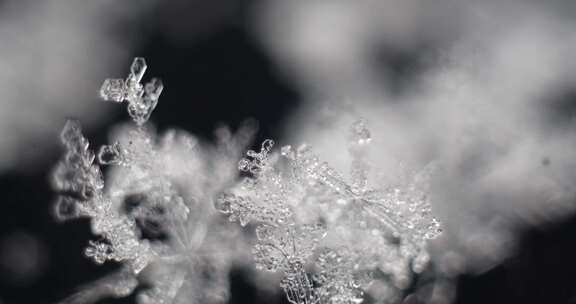 微距雪花