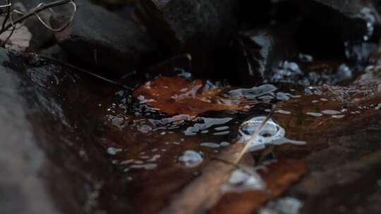 水流 小溪 流水 水滴 山区 高山 岩石