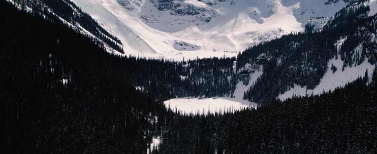 森林和巨大雪山的景色