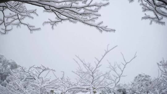 黄山 雪景 雾凇