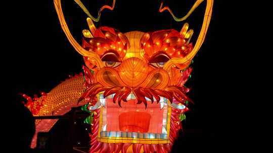 北京什刹海荷花市场元宵节灯会正面龙年实时视频素材模板下载
