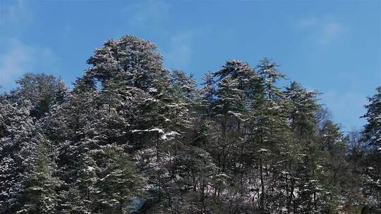 峡谷地貌雪景