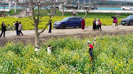 中国广东省广州市南沙区东涌油菜花