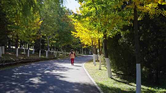 公园跑步锻炼路人 秋天黄叶秋景林间路