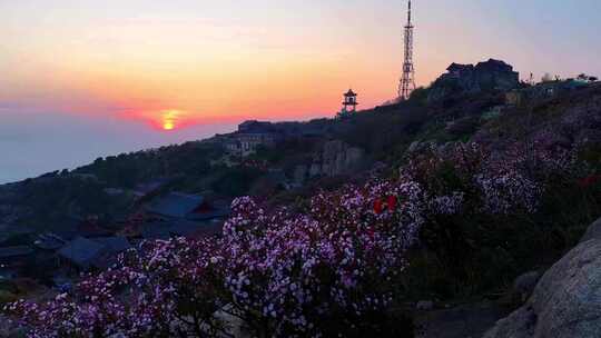 五月的泰山