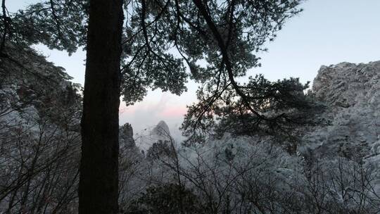 黄山迎客松雪景延时摄影