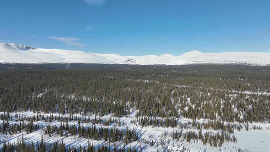 积雪景观