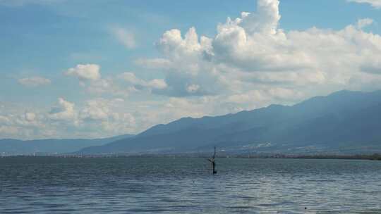 大理洱海自然景观唯美空镜