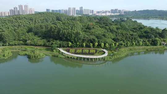 广东荔湖公园航拍空景素材