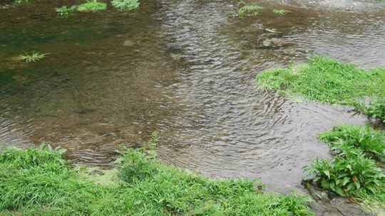 清澈河水河流水源水流溪流溪水