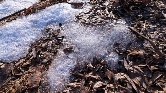 冰雪消融延时视频素材模板下载