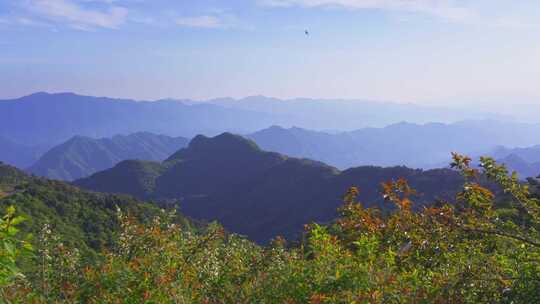 杭州临安大明山牵牛岗群山风景