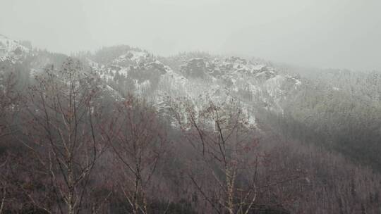 白雪覆盖的山脉