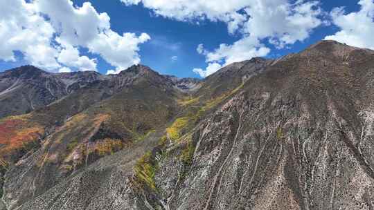 无人机航拍西藏林芝地区高山上的一抹秋景