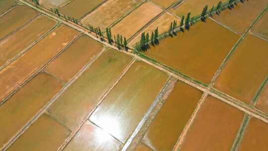 农业农田稻田水利灌溉