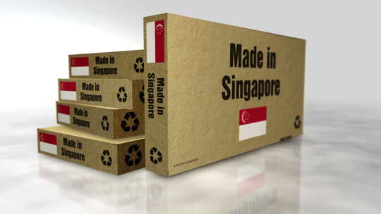 新加坡制造盒子3d对象