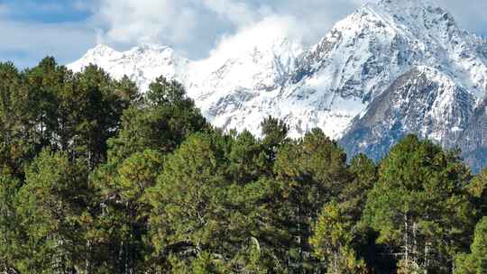 西藏林芝岗云杉林雪山湖泊草原风景航拍