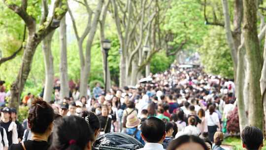 假期西湖苏堤人流人山人海镜头