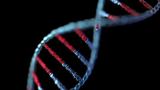 DNA序列渲染视频