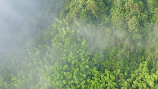 高山山峦晨曦云海航拍浙江开化钱江源森林