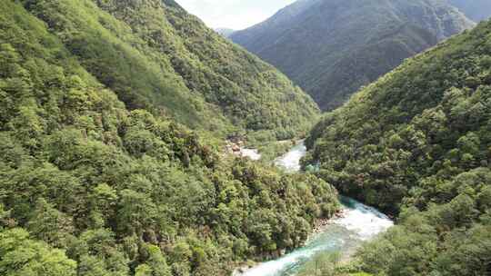 4K怒江独龙江乡普卡旺 原始森林溪流风景