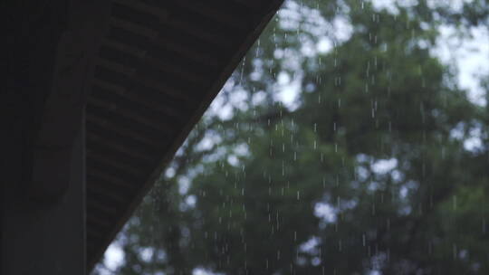 诗画江南 灵隐寺 园林建筑 庭院 禅 东方