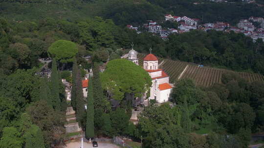 黑山海尔采格诺维山上萨维纳修道院和葡萄园