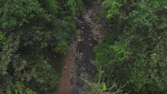 西双版纳勐腊县望天树景区航拍森林吊桥