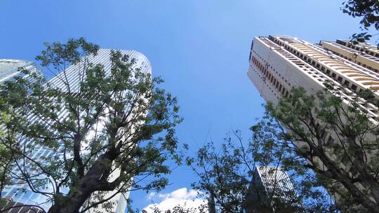 仰望城市的高楼唯美镜头视频素材模板下载