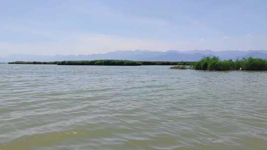 宁夏石嘴山沙湖旅游景区芦苇湿地风光