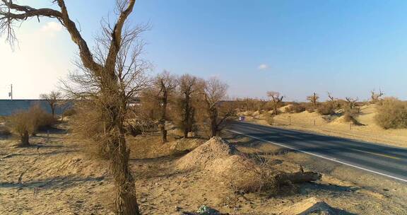 新疆塔克拉玛干沙漠公路旅行