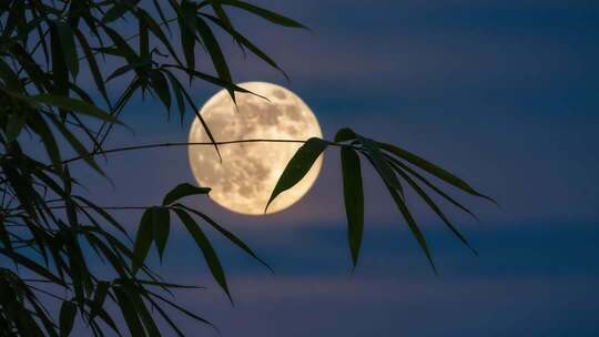 中秋竹影婆娑下的皎洁月光静谧夜空竹林赏月