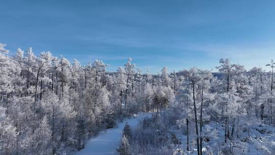 航拍林海雪原雪林小路