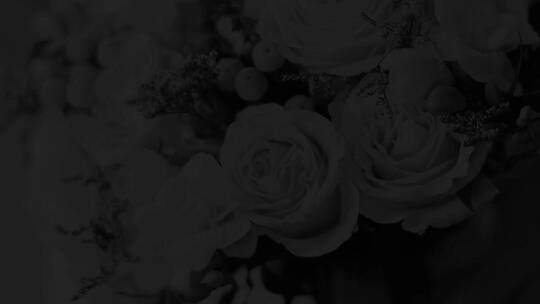 明亮清新花卉标题字幕条婚礼AE模板