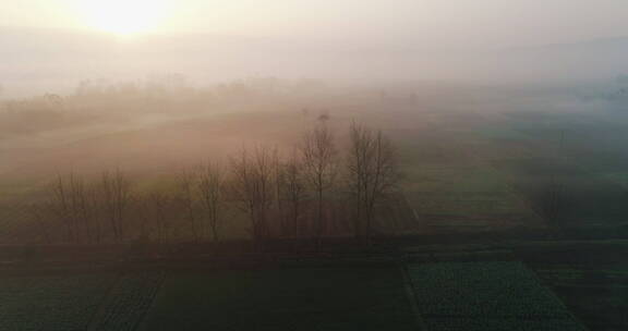 晨雾中的四川乡村田野村庄航拍风景