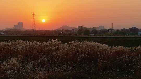 杭州余杭区北湖草荡湿地秋天风光航拍