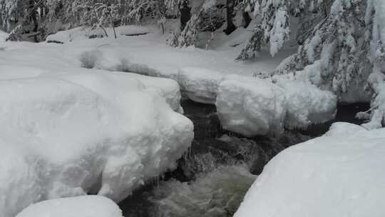 森林冬季雪