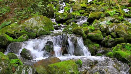 清新山清水秀景色高清