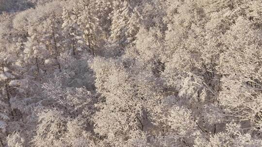 冰天雪地东北雾凇雪山