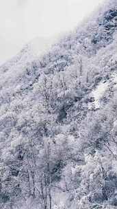 河南栾川老君山穿行在雾凇中的缆车