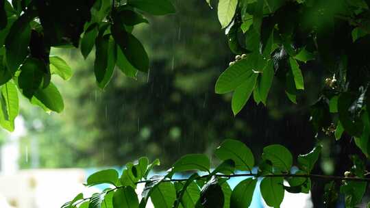 雨下雨空镜雨滴春雨谷雨清明雨天梅雨