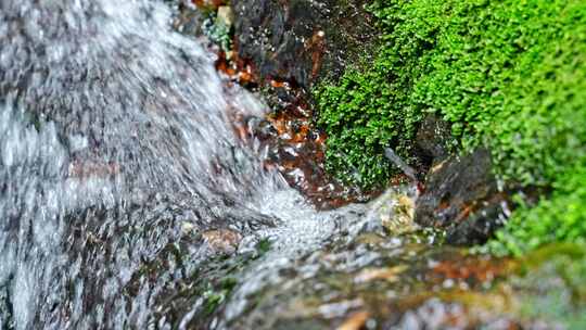 水青苔山泉水流水滴水风景森林自然大自然水视频素材模板下载