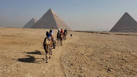 沙漠骆驼  金字塔视频素材模板下载