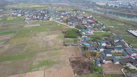 美丽乡村农业种植油菜花农田航拍