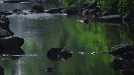 溪水河流乘凉 唯美意境 治愈夏天疗愈白噪音