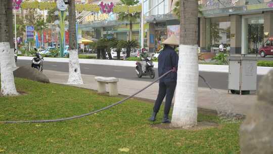 城市里给草坪浇水的女人