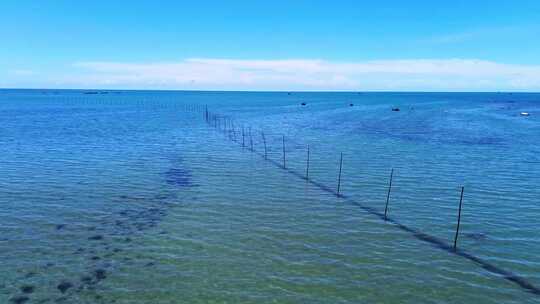 自然风光大海海水海浪视频